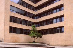 DIA-23-Hafencity-50010-scaled