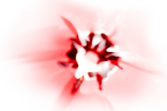 Blown-away-web-6934