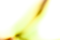 Up-and-down-web-7047