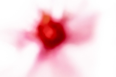 What-you-can-see-web-6902