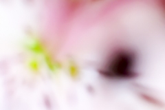 feeding-web-7541