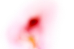 move-web-7135