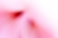 on-the-trip-web-7134