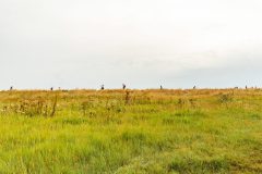 MSM-Horizont-2815-1-scaled
